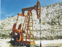 石油机械(图1)